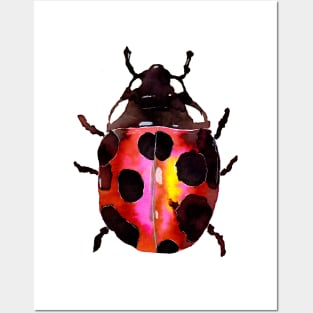 Watercolor Ladybug Posters and Art